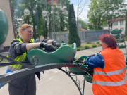Улицы Городка украсят более четырех тысяч цветов