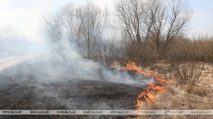 Палы и выжигание сухой растительности - под запретом!